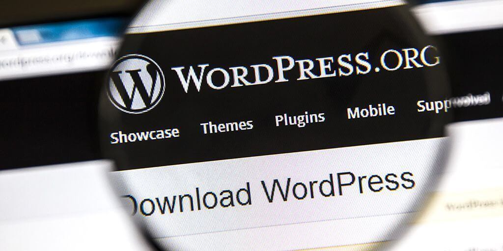 Imagen artículo plugins wordpress para diseño web