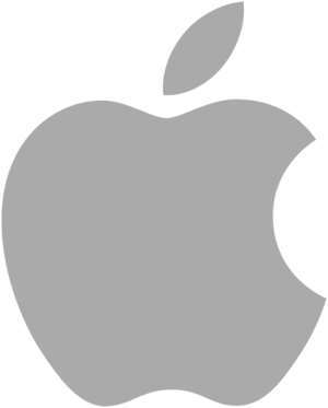 tipo-de-logo-aspiracional-MadridNYC