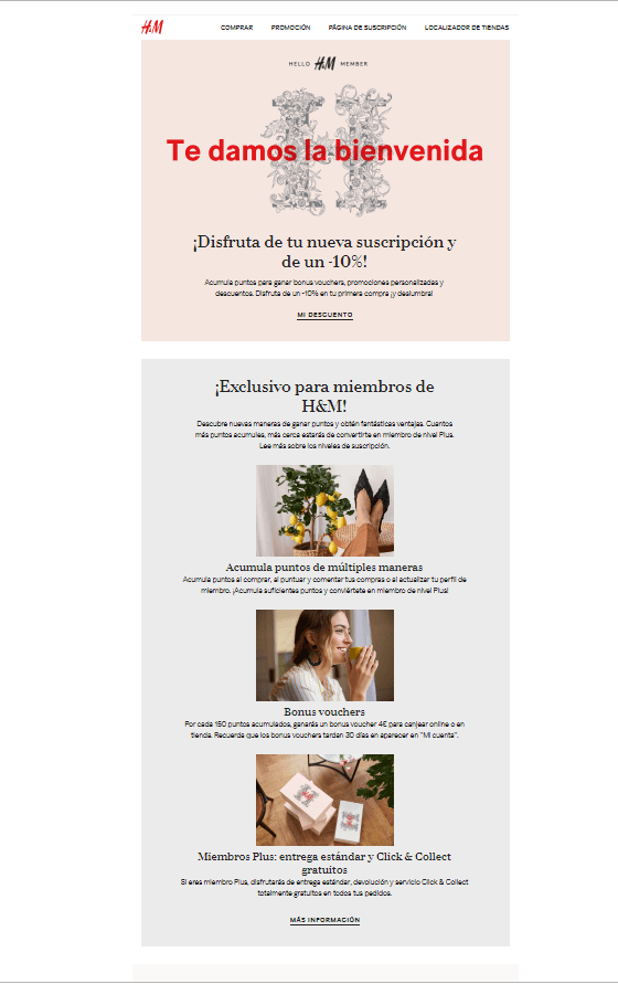Diseño de la newsletter de bienvenida coherente con la marca